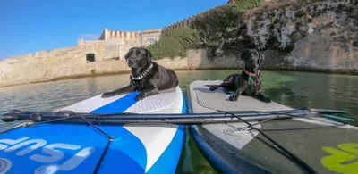 rutas sup tarifa